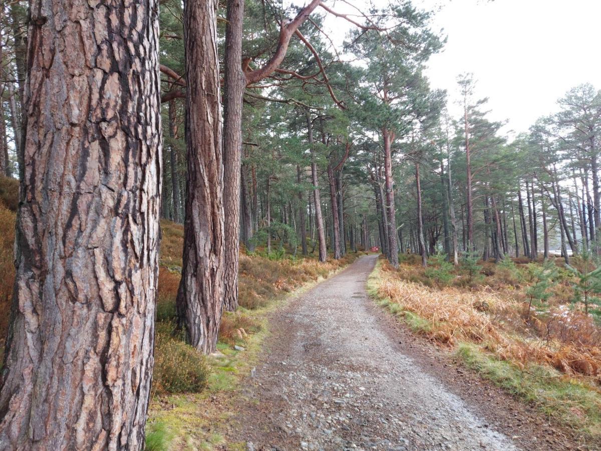 Holiday House Kinveachy Aviemore Zewnętrze zdjęcie